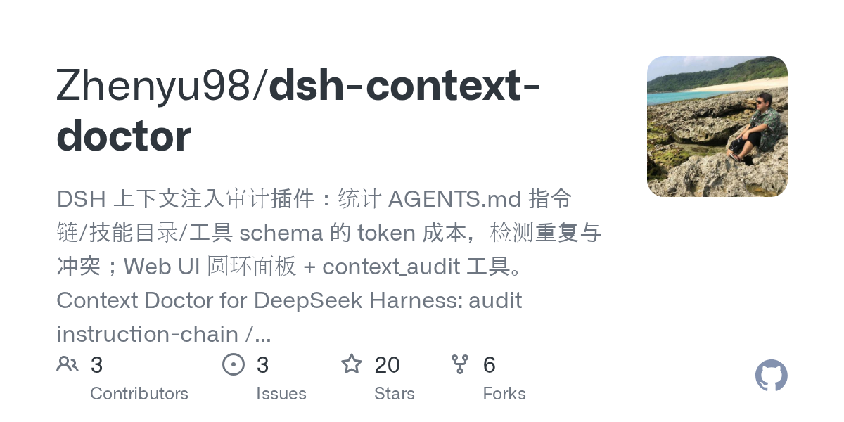 Zhenyu98/dsh-context-doctor Screenshot preview