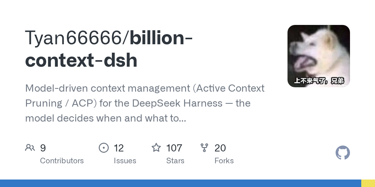 Tyan66666/billion-context-dsh Screenshot preview