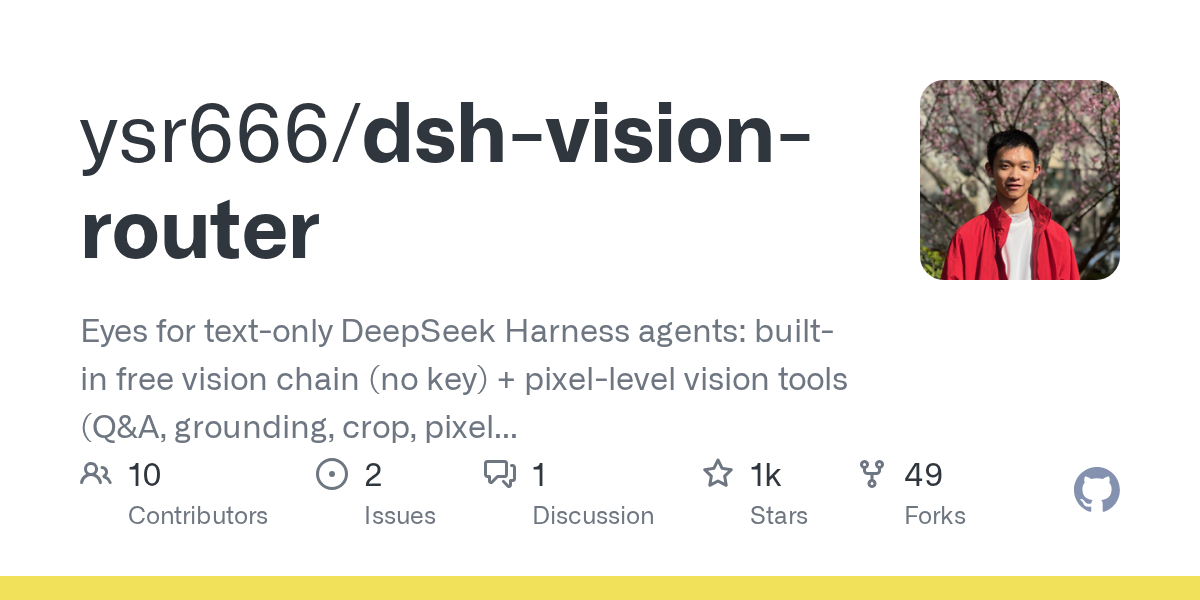 ysr666/dsh-vision-router Screenshot preview