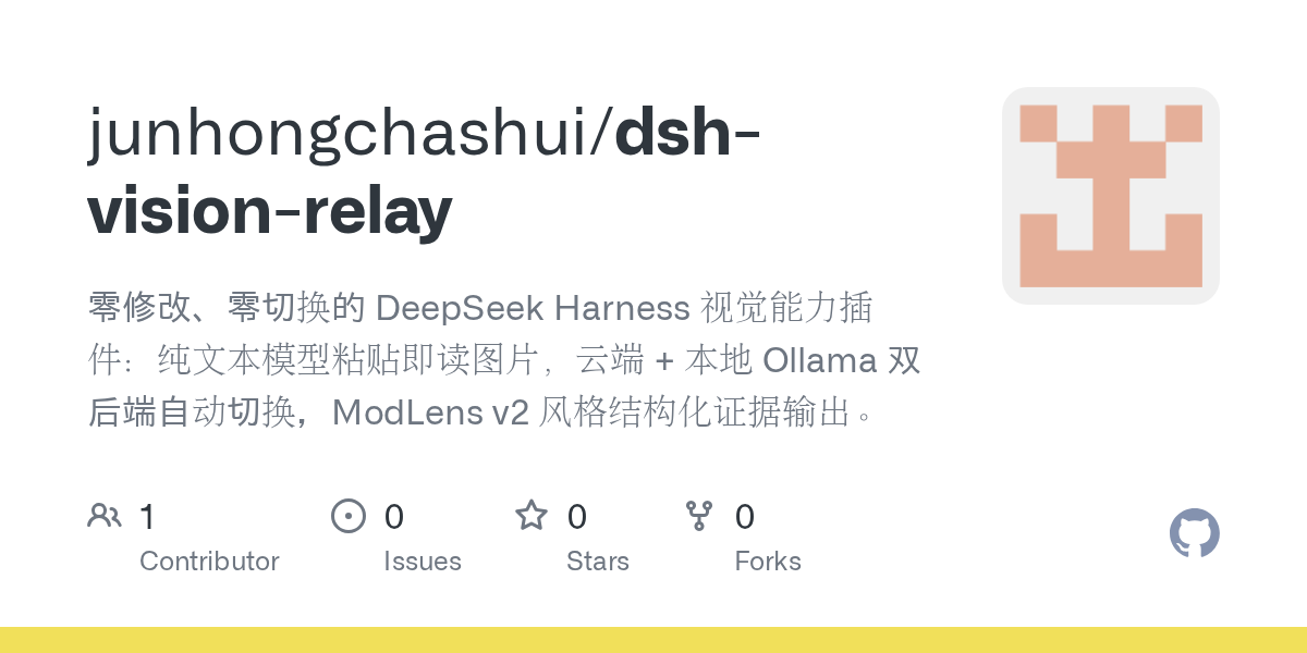 junhongchashui/dsh-vision-relay Screenshot preview