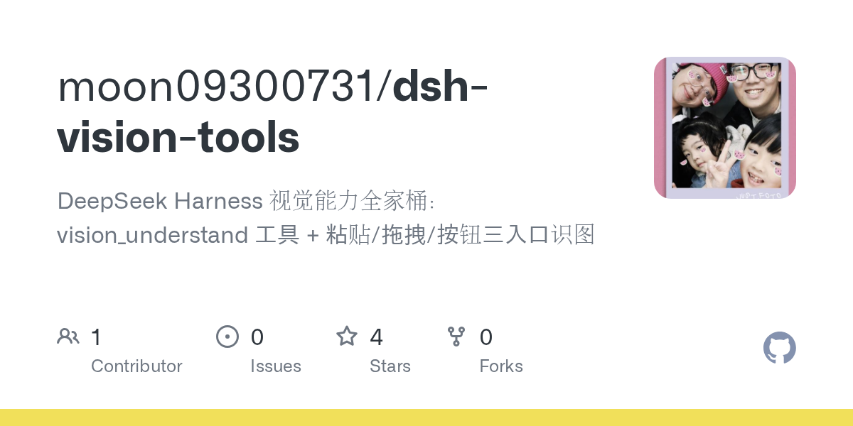 moon09300731/dsh-vision-tools Screenshot preview