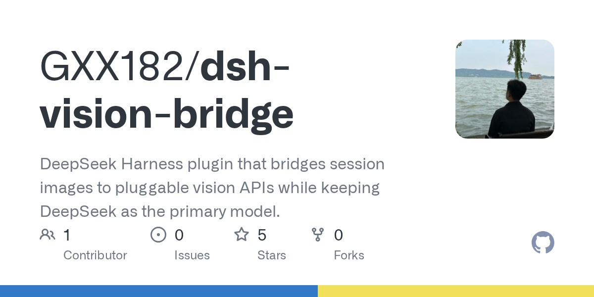 GXX182/dsh-vision-bridge Screenshot preview