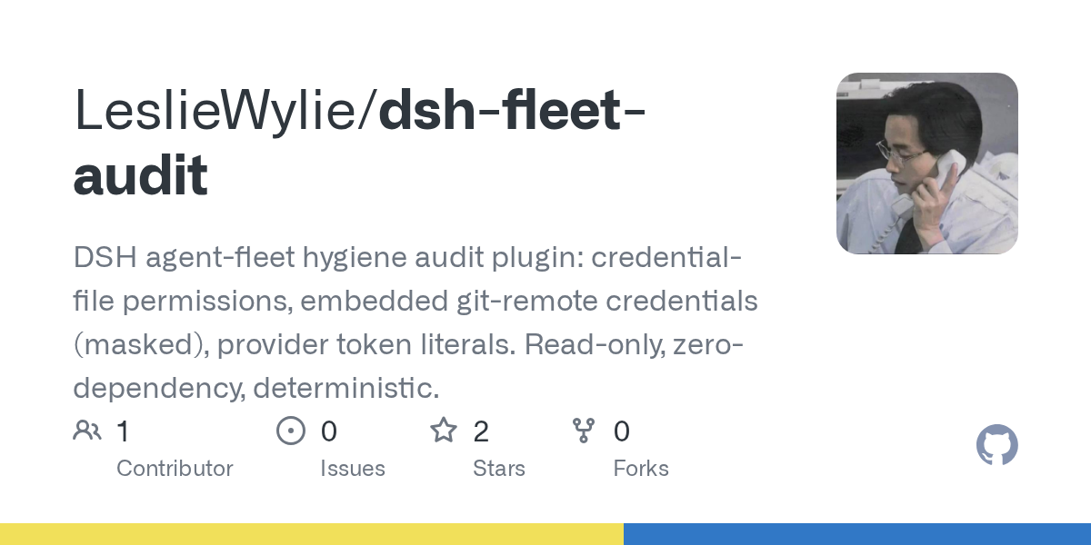 LeslieWylie/dsh-fleet-audit Screenshot preview