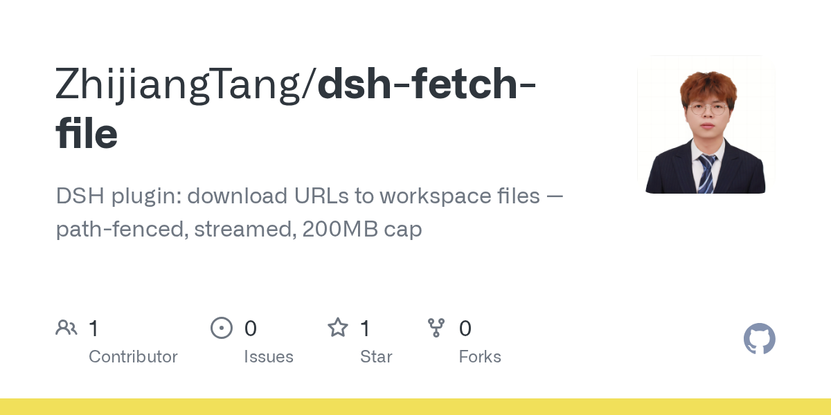 ZhijiangTang/dsh-fetch-file Screenshot preview