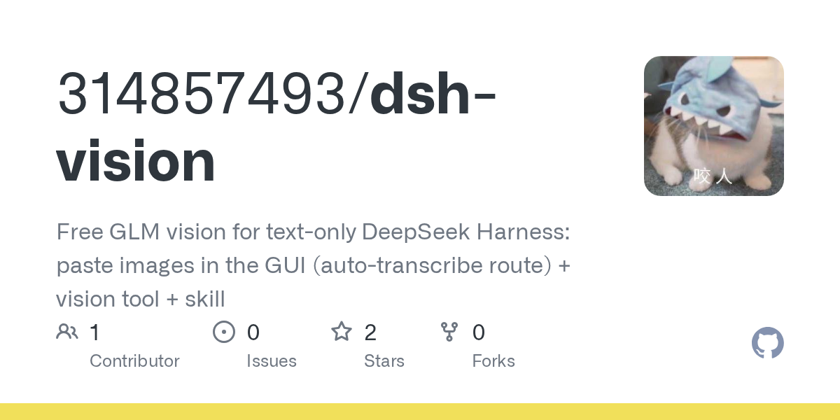 314857493/dsh-vision Screenshot preview