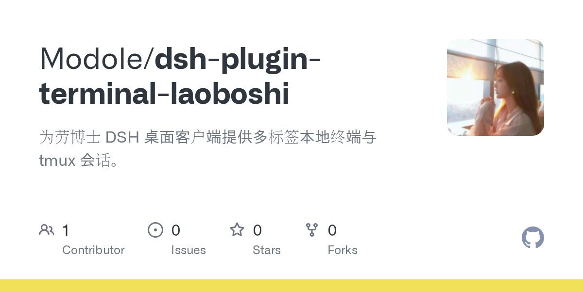 Modole/dsh-plugin-terminal-laoboshi Screenshot preview