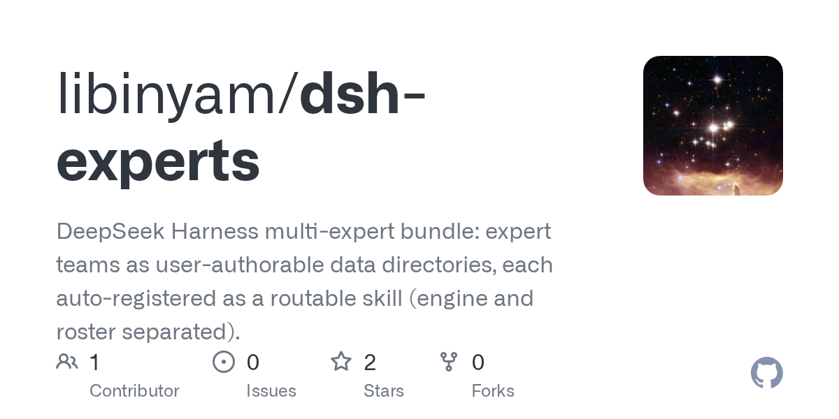 libinyam/dsh-experts Screenshot preview