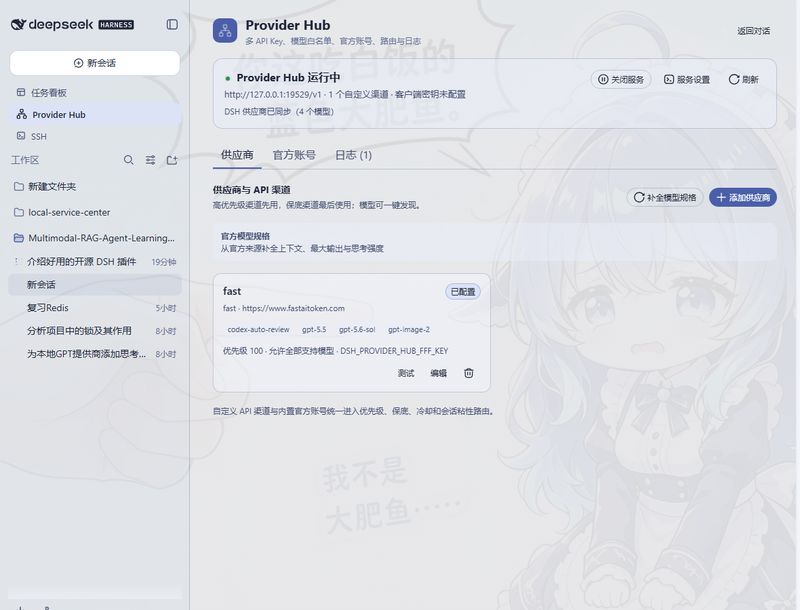 HeWhenJay/dsh-provider-hub 截图预览