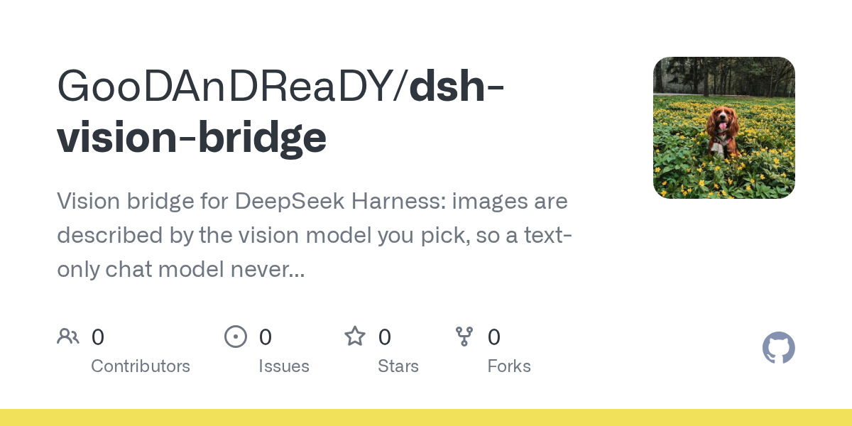 GooDAnDReaDY/dsh-vision-bridge Screenshot preview