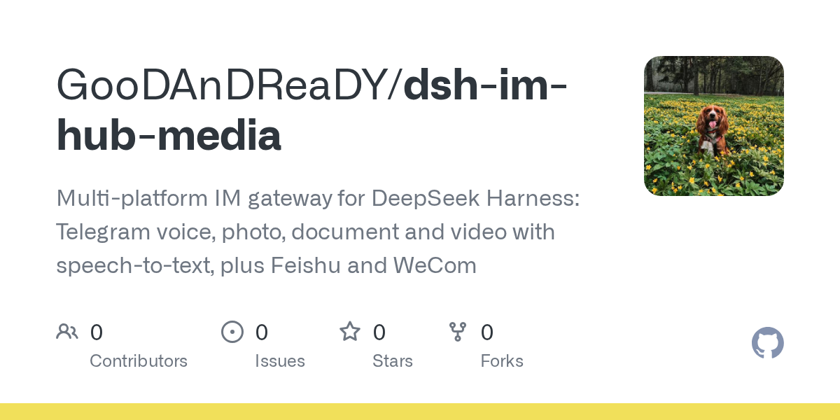 GooDAnDReaDY/dsh-im-hub-media Screenshot preview