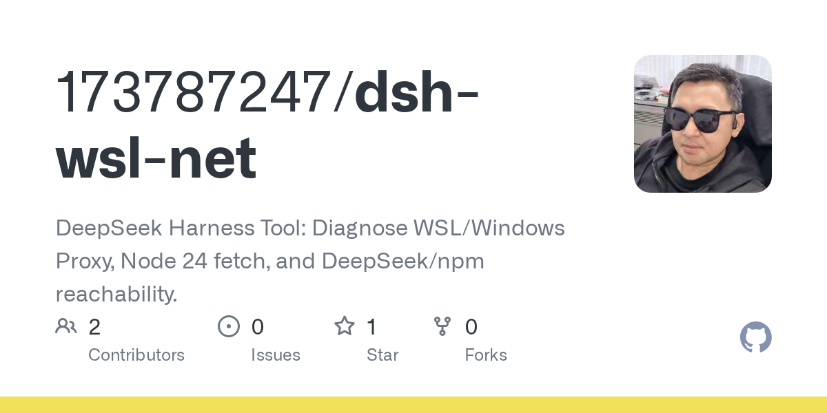 173787247/dsh-wsl-net Screenshot preview