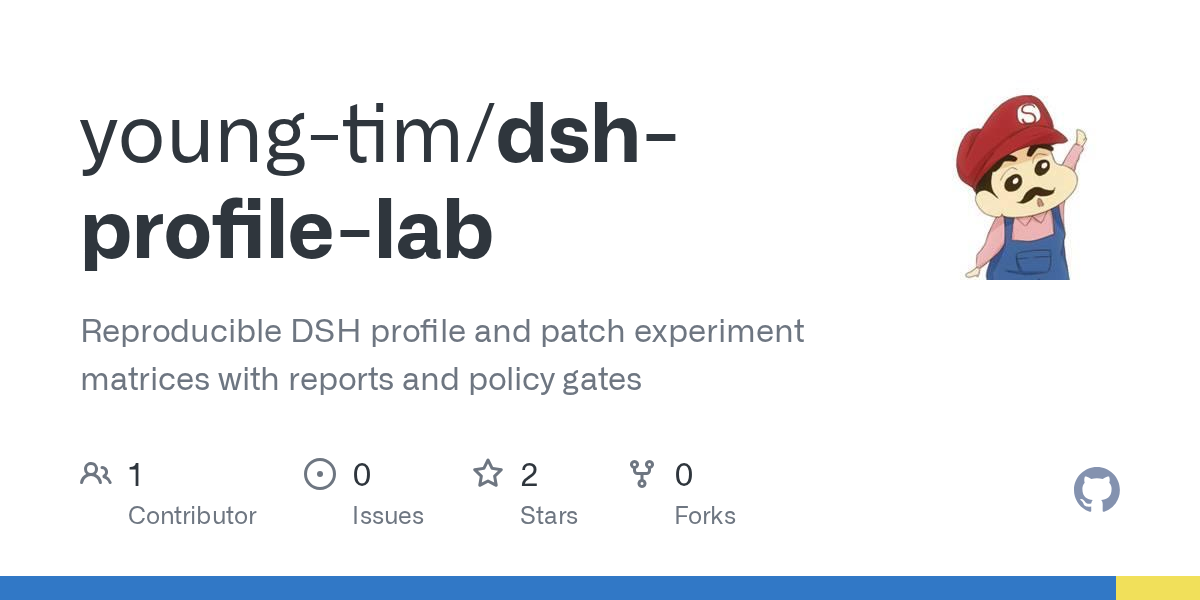 young-tim/dsh-profile-lab Screenshot preview
