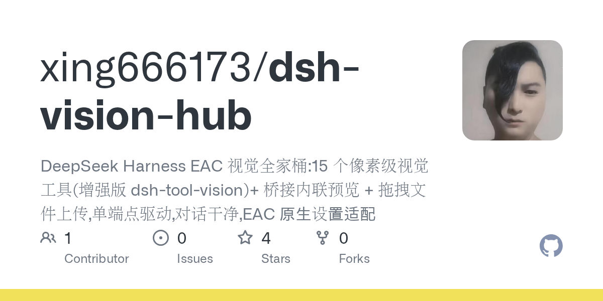xing666173/dsh-vision-hub Screenshot preview