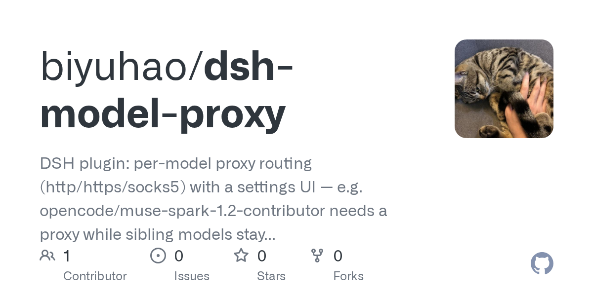 biyuhao/dsh-model-proxy Screenshot preview