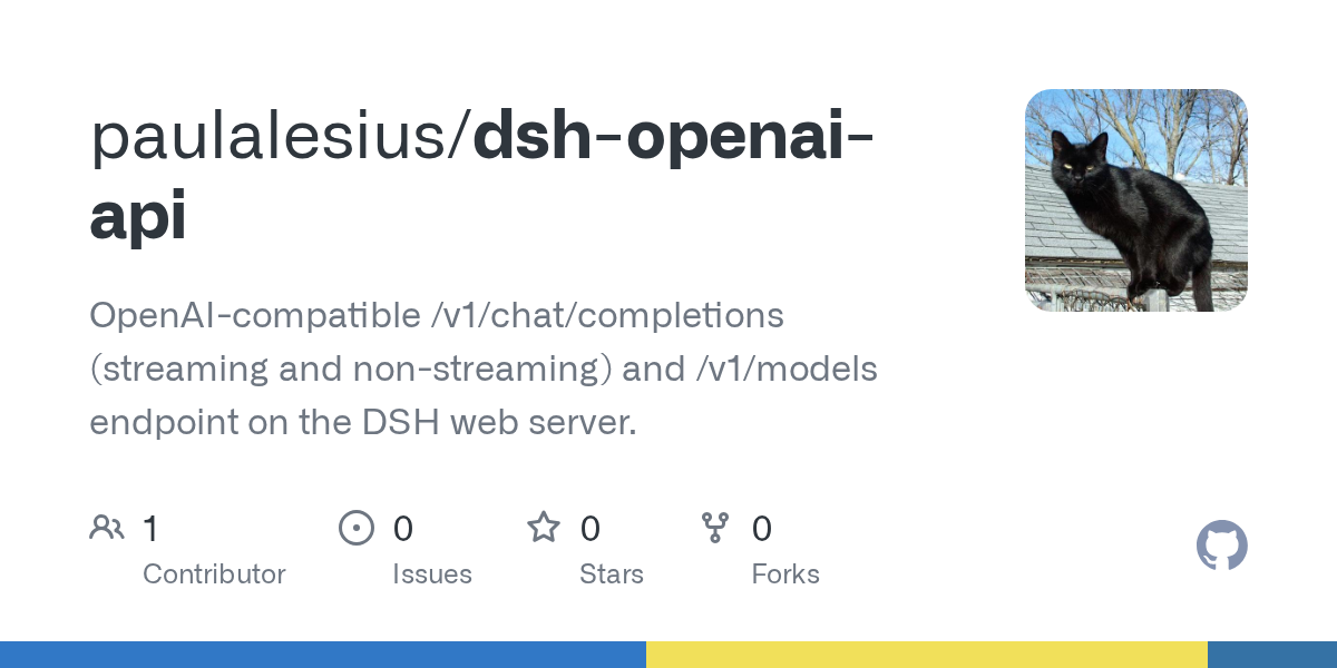 paulalesius/dsh-openai-api Screenshot preview