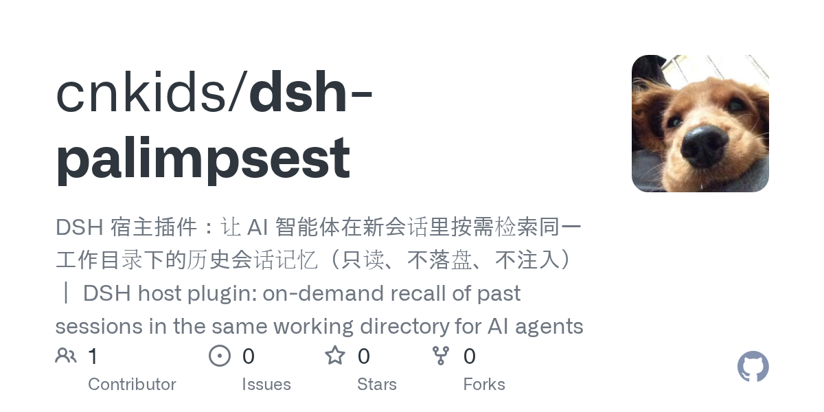 cnkids/dsh-palimpsest Screenshot preview