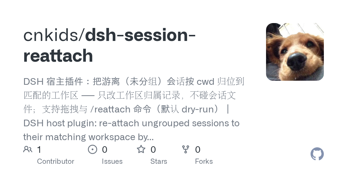 cnkids/dsh-session-reattach Screenshot preview