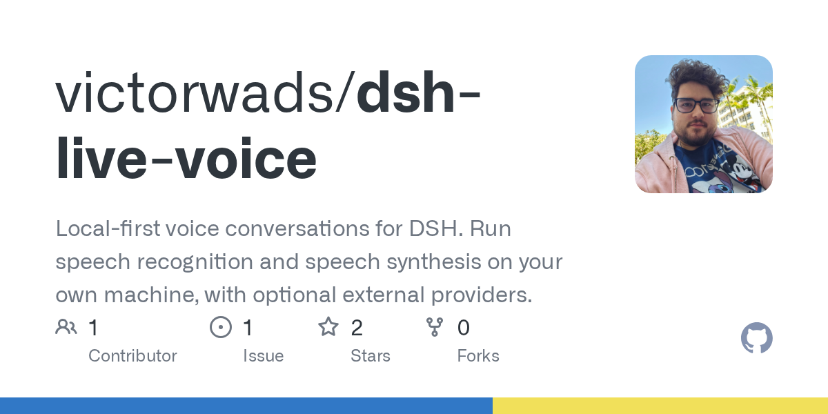 victorwads/dsh-live-voice Screenshot preview