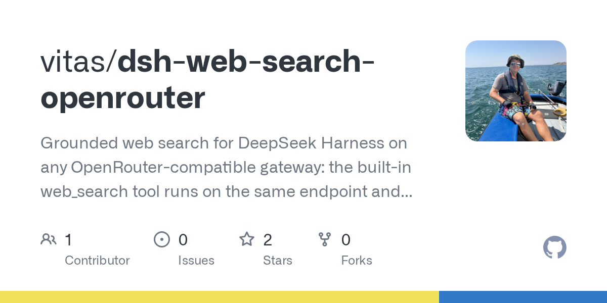 vitas/dsh-web-search-openrouter Screenshot preview