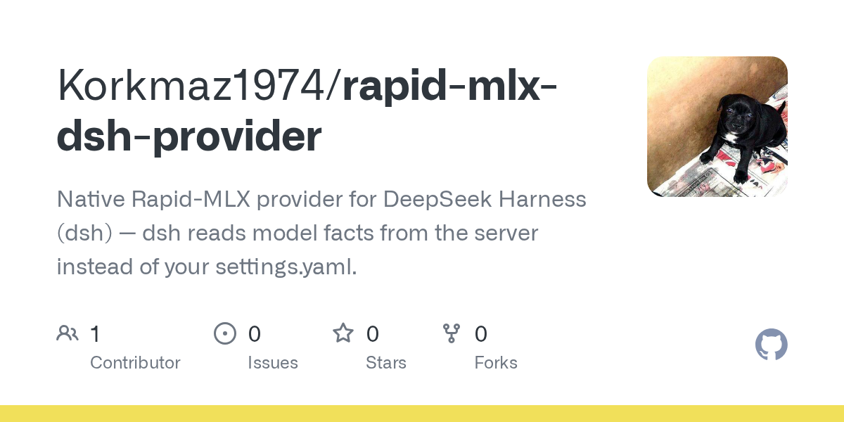 Korkmaz1974/rapid-mlx-dsh-provider Screenshot preview